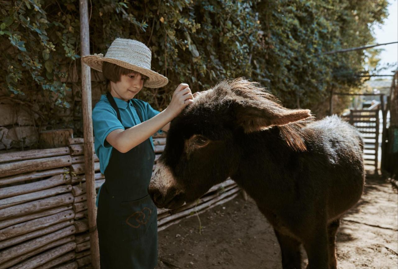 Hotel Le Golf D'Essaouira & Spa Esterno foto A child with a donkey